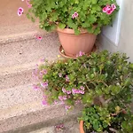 Aria And Apartmant Fuga Πανσιόν Ρόβινι