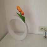Πανσιόν Aria And Apartmant Fuga Ρόβινι