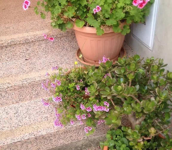 Aria And Apartmant Fuga בית הארחה רוביני