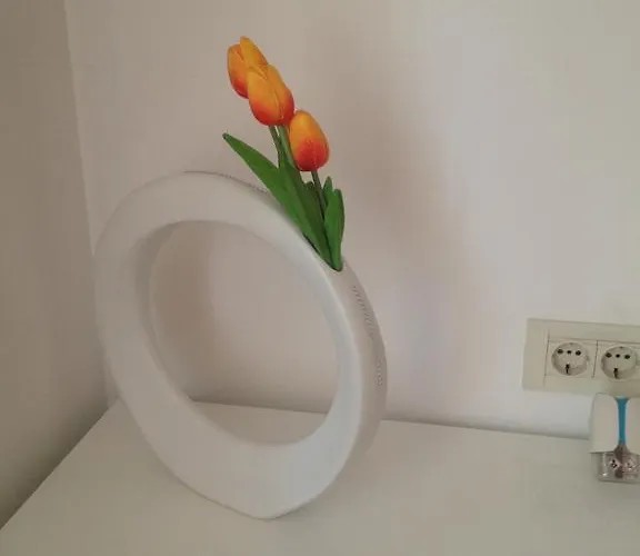 בית הארחה Aria And Apartmant Fuga רוביני