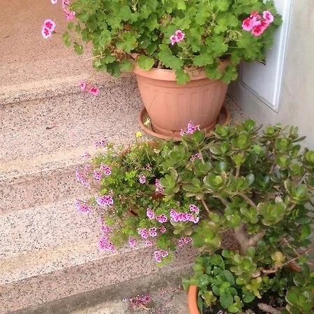 Aria And Apartmant Fuga 招待所 罗维尼