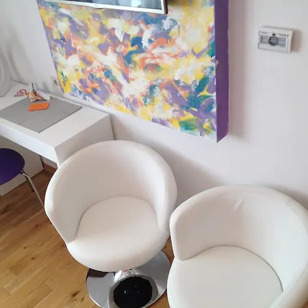 Aria And Apartmant Fuga 招待所 罗维尼