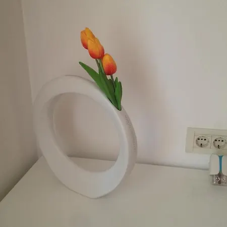 招待所 Aria And Apartmant Fuga 罗维尼